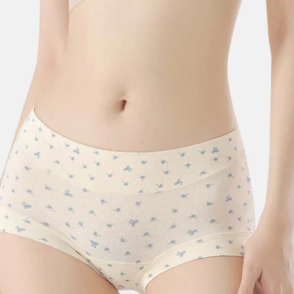 Womens Soft Comfort High-Waist Briefs