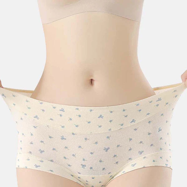Womens Soft Comfort High-Waist Briefs