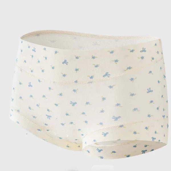 Womens Soft Comfort High-Waist Briefs