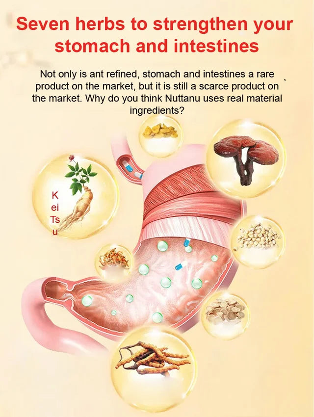 🔥[Gastrointestinal problems cured with a single touch]🔥 Medical antipyretic gel for promoting qi circu