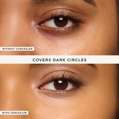 Big Stick Energy duo– shape tape concealer stick & brush🔥