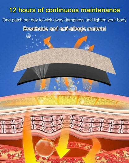 Herbal Detoxification Acupuncture Patch for Dampness Removal