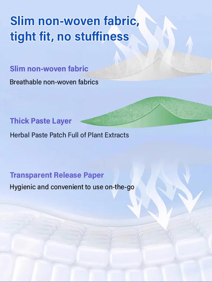 Herbal Detoxification Acupuncture Patch for Dampness Removal