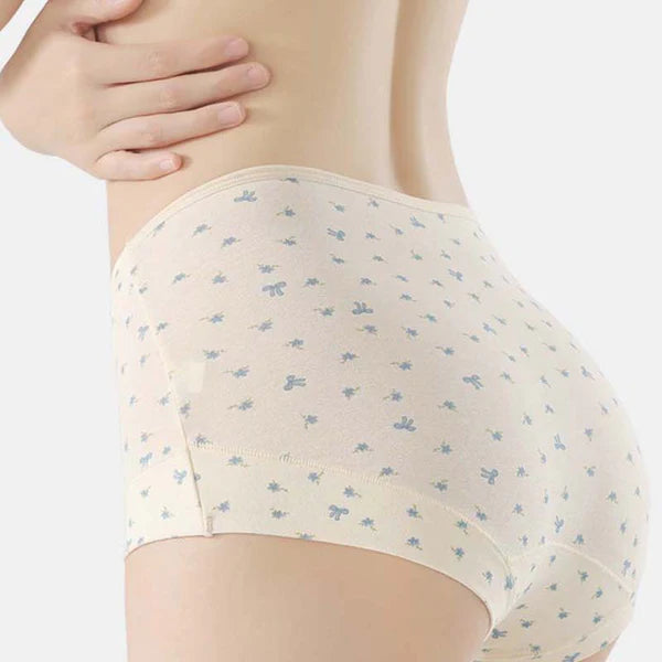 Womens Soft Comfort High-Waist Briefs